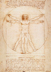 vinci